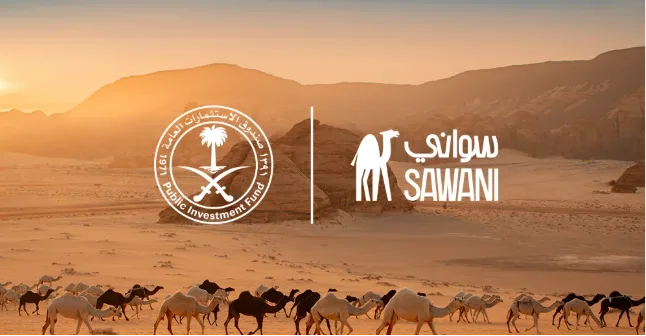 Sawani Company - PIF Portfolio
